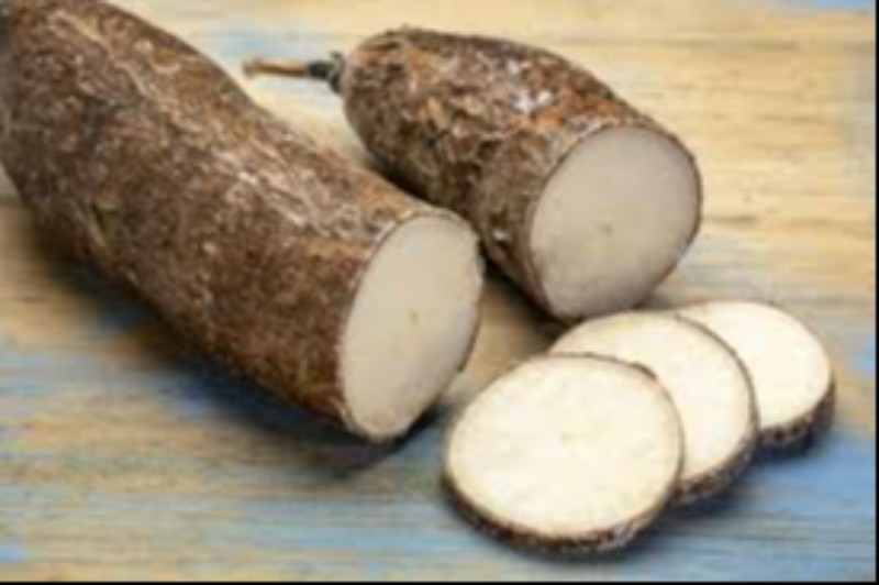 Turbecule de Manioc